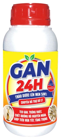 GAN 24H