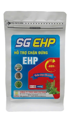 SG EHP - THẢO DƯỢC LÊN MEN  HỖ TRỢ CHẶN ĐỨNG EHP SAU 48