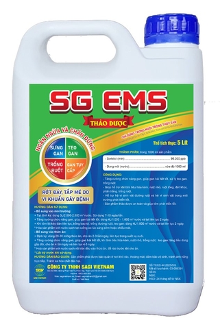 SG EMS