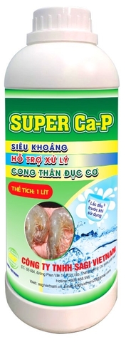 SUPER Ca-P