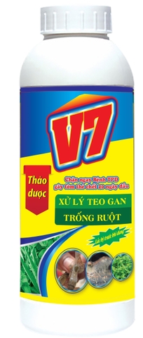 V7