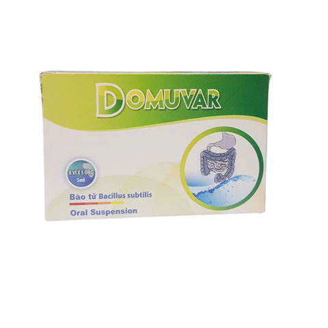 Domuvar