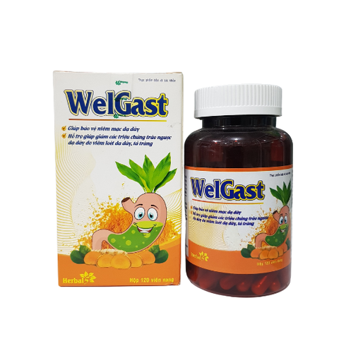 Welgast - hỗ trợ giảm triệu chứng trào ngược dạ dày, thực quản