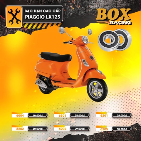 Bạc Đạn Xe Piaggio LX 125