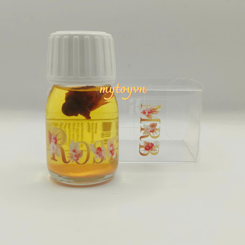Popper 30ml đê mê chính hãng MR B