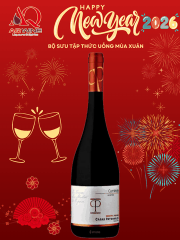 VANG CHILE CP PRIVADA CARMÉNÈRE