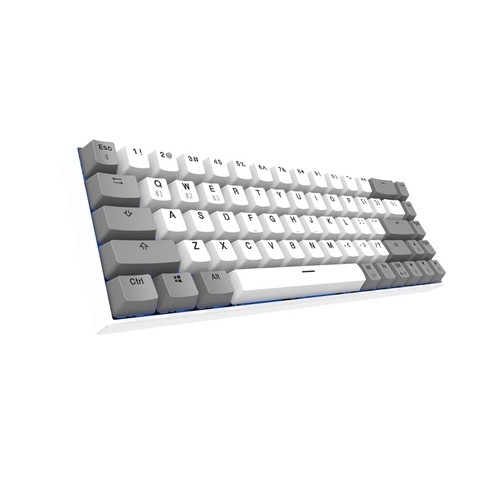 Bàn phím cơ Bluetooth RGB Hotswap FLEsport F12