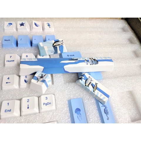 Bộ Keycap chim cánh cụt 104+9 phím PBT in Dye Sub