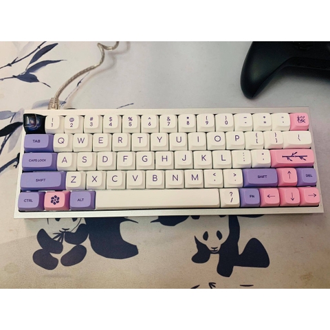 Bàn phím cơ Custom mạch DZ60