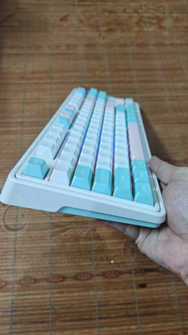 Bàn Phím Cơ CMK87 (Used) - Kailh Box Brown, 3 Mode Giá Chỉ 600K | MKShop