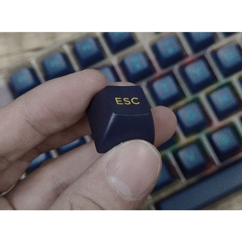 Bộ keycap FSA Macaw PBT double shot dùng cho bàn phím cơ