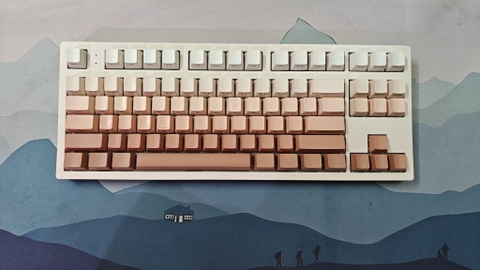 Bàn Phím Cơ FL-Esports MK870 1 Mode (Cũ) - Mạch Xuôi, Switch Aigoux Linear | MKShop
