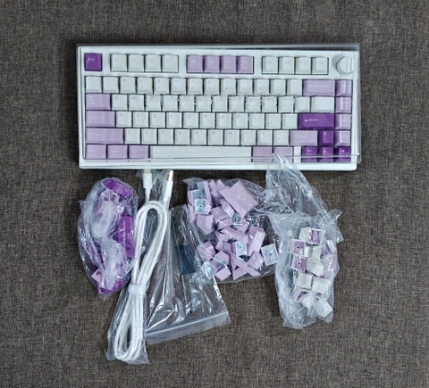 Bàn Phím Cơ FL Esports GP75 Taro Purple (Like New Fullbox) - Kailh Box Red | MKShop