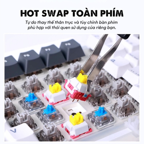 Bàn Phím Cơ Aula F87 | 3 Mode, Hotswap, RGB | Gasket Mount | MKShop