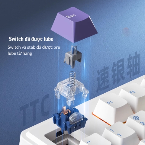 Bàn Phím Cơ Xinmeng A98 - Hotswap, LED RGB, 3 Chế Độ Kết Nối | MKShop