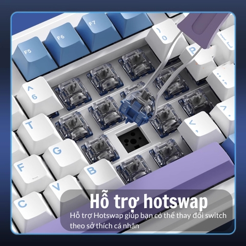 Bàn Phím Cơ Xinmeng A98 - Hotswap, LED RGB, 3 Chế Độ Kết Nối | MKShop