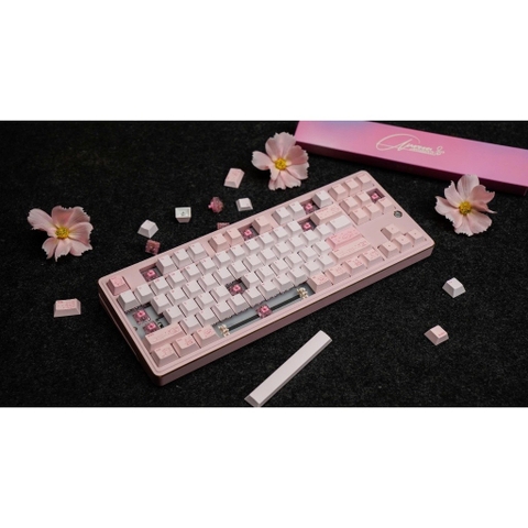 Bàn Phím Cơ PMO Aurora 80 TKL 87 Phím - Nhôm CNC, 3 Mode, Gasket Mount, RGB Aurora | MKShop