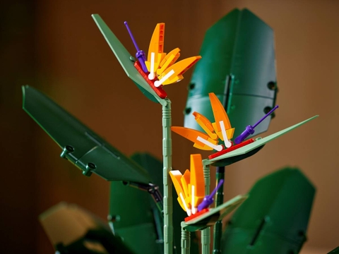 Lego Bird of Paradise 10289
