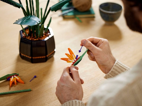 Lego Bird of Paradise 10289