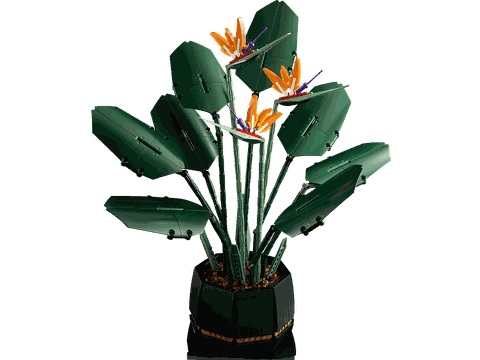 Lego Bird of Paradise 10289