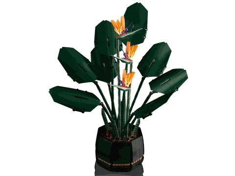 Lego Bird of Paradise 10289