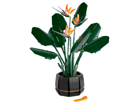 Lego Bird of Paradise 10289