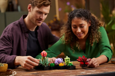 LEGO Botanical Succulents 10309