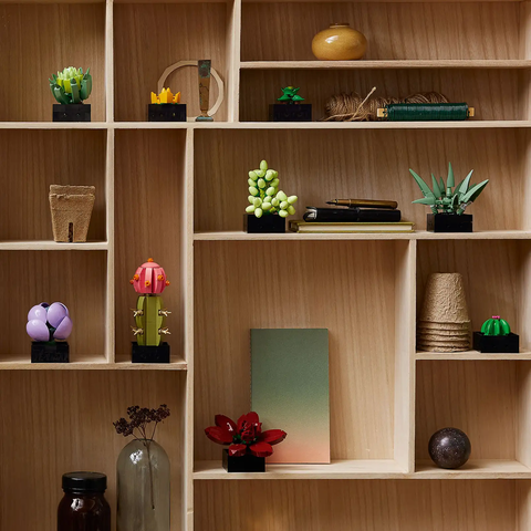 LEGO Botanical Succulents 10309