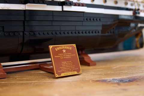 LEGO The Endurance 10335