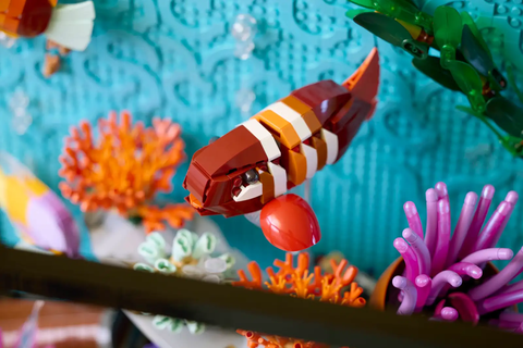 LEGO Tropical Aquarium 10366