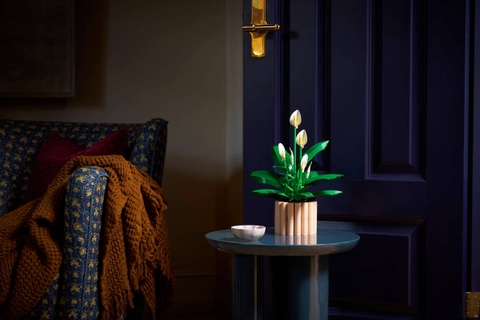 Lego Peace Lily 11504