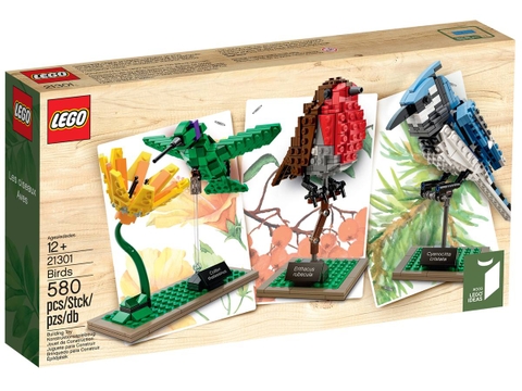 Lego Birds 21301