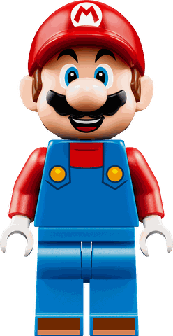 Lego Yoshi at Mario's House 72057