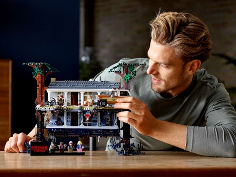 LEGO The Upside Down 75810