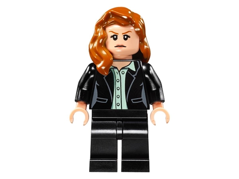 Lego DC Comics Heroes of Justice: Sky High Battle 76046