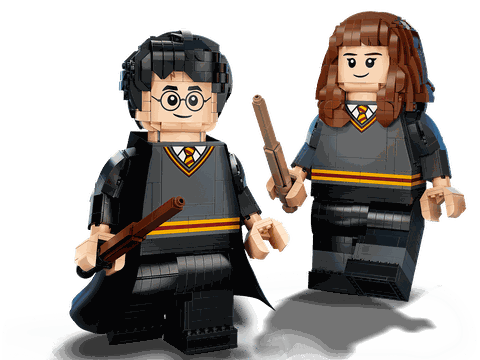 Lego Harry Potter & Hermione Granger 76393