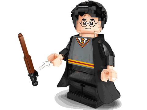 Lego Harry Potter & Hermione Granger 76393