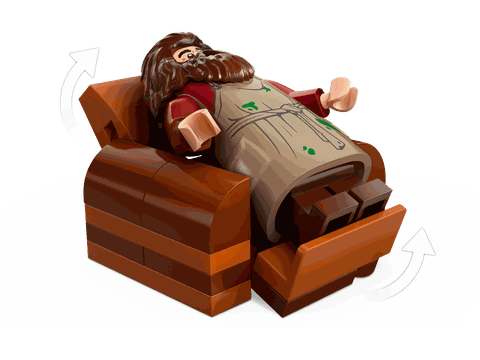 Lego Harry Potter Hagrid's Hut: An Unexpected Visit 76428