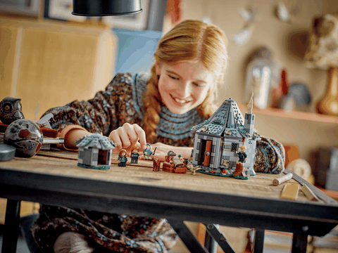 Lego Harry Potter Hagrid's Hut: An Unexpected Visit 76428