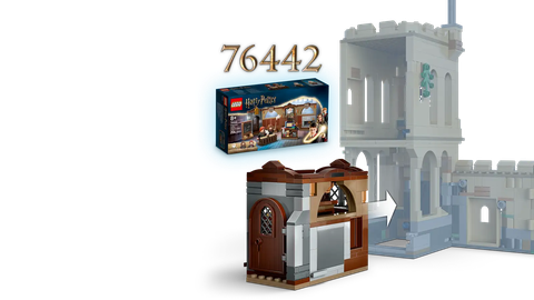 LEGO Hogwarts™ Castle: Flying Lessons 76447