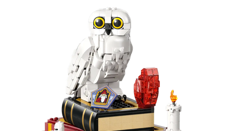 LEGO Sorcerer's Stone – Collectors' Edition 76466