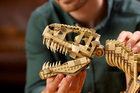 LEGO Dinosaur Fossils: Tyrannosaurus rex 76968