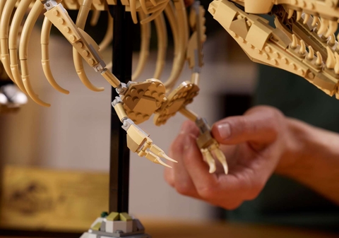 LEGO Dinosaur Fossils: Tyrannosaurus rex 76968