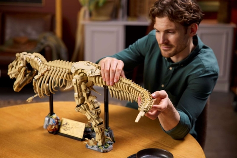 LEGO Dinosaur Fossils: Tyrannosaurus rex 76968