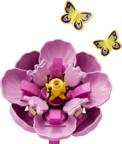 Lunar New Year Display 80110