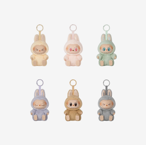 Pop Mart Labubu Let's Play Together Doll Series Sealed Case (6 Blind Boxes)