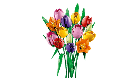 Lego Tulip Bouquet 11501