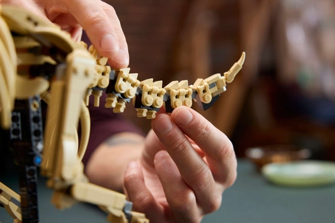 LEGO Dinosaur Fossils: Triceratops 77985