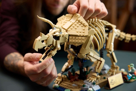 LEGO Dinosaur Fossils: Triceratops 77985
