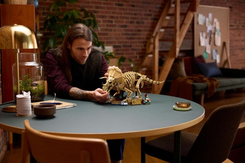 LEGO Dinosaur Fossils: Triceratops 77985
